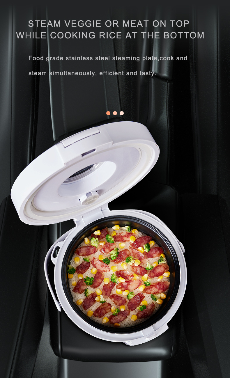 24V Rice Cooker  Truck Soup St - Home Cooking Heater review and price