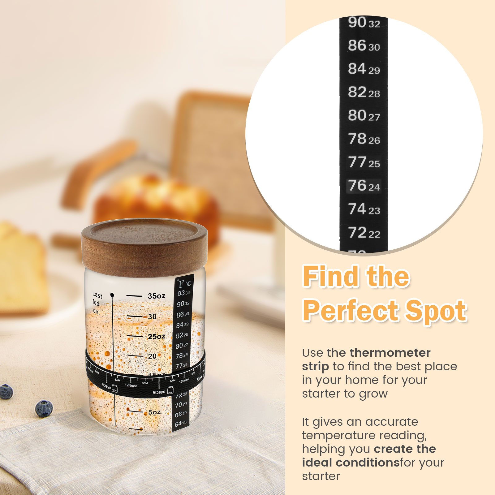 Sourdough Starter Jar Kit 1000 - Fermentation Crock review and price