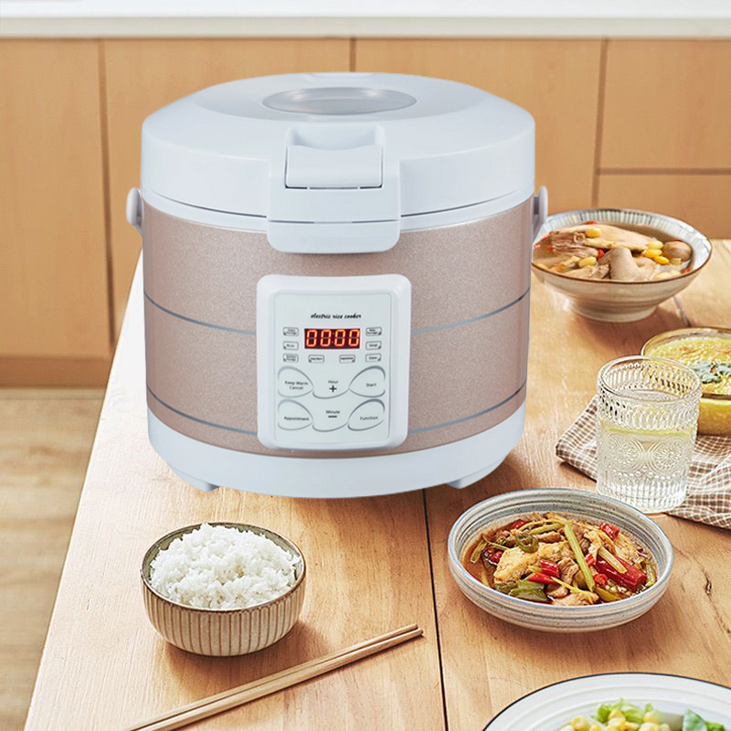 12-24V 220V Rice Cooker Soup S - Home Cooking Heater review and price
