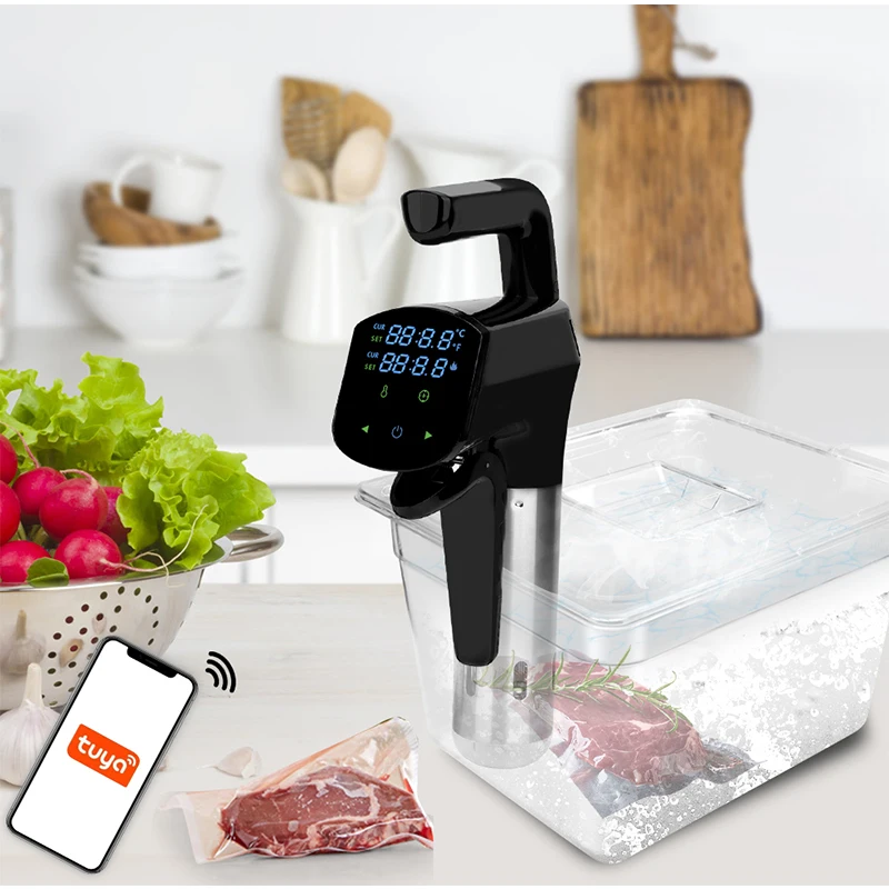 110V/220V Commercial Sous Vide - Home Cooking Machine review and price